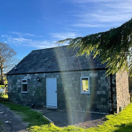 Morvoren Cottage Launceston Exterior foto